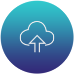 Website Launch