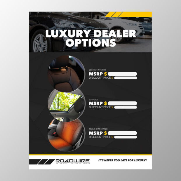 Roadwire Sell Sheet Design 2 | Ae Graphic Elements